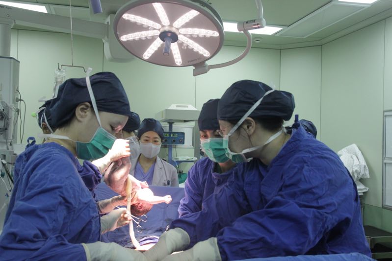 webwxgetmsgimg.jpg webwxgetmsgimg.jpg