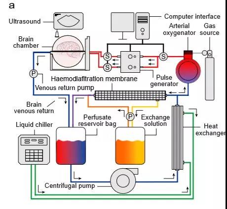 微信图片_20190418105452.jpg 微信图片_20190418105452.jpg