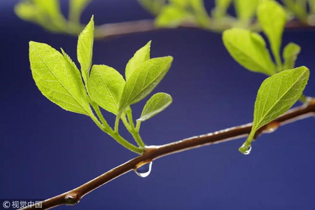 微信图片_20190420083615.jpg 微信图片_20190420083615.jpg