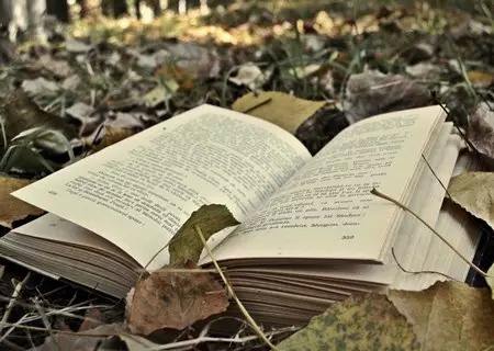 timg (46).jpg timg (46).jpg