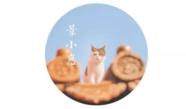 一年 30 多趟故宫，她拍的「故宫猫」每1张都萌到犯规！