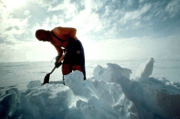 WechatIMG105.jpeg WechatIMG105.jpeg