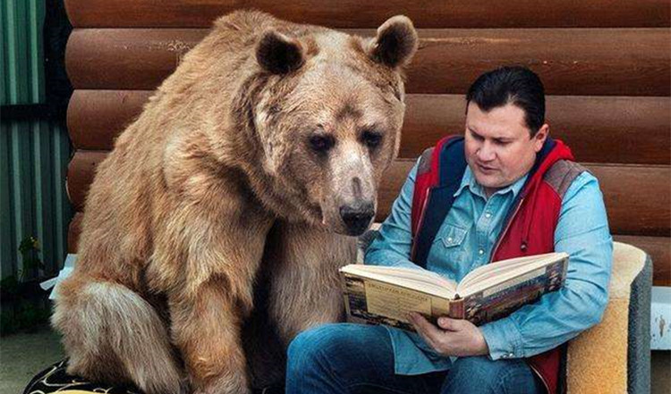 难以理解的战斗民族 :俄罗斯人像熊一样,有一时的耐心,但没有持久的