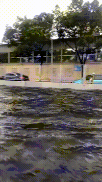 1565437118848.gif