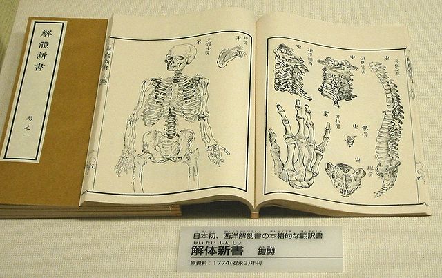 日本解剖.jpg