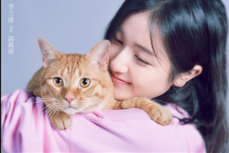 微信图片_201908281739_副本.png