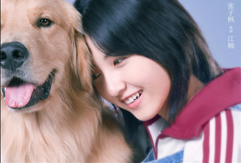 微信图片_20190828152_副本.png
