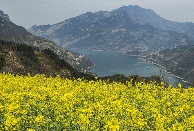 长江.jpg 长江.jpg