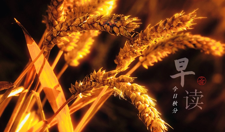 微信图片_20190922214658.jpg
