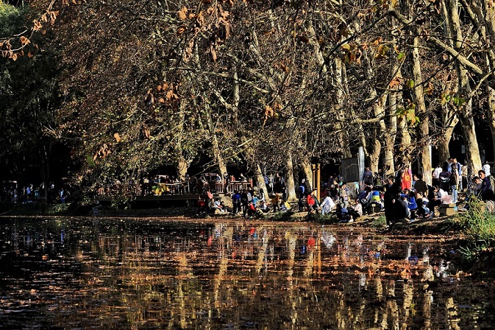 花溪一.jpg 花溪一.jpg