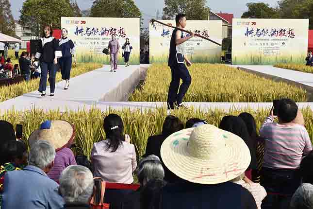 微信图片_20191102203056.jpg 微信图片_20191102203056.jpg