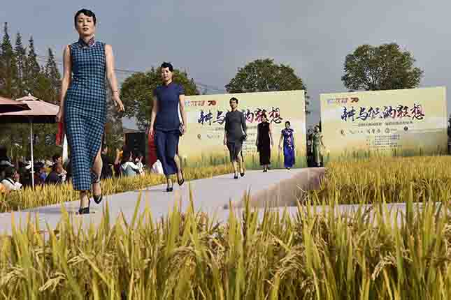 传统农耕与时尚走秀来了一场"碰撞",崇明新河举办首届稻田创意时装秀