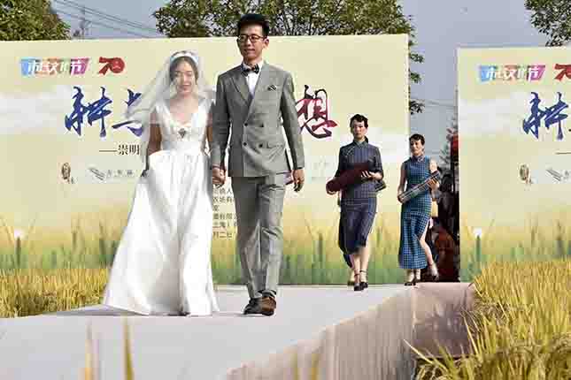 微信图片_20191102203647.jpg 微信图片_20191102203647.jpg