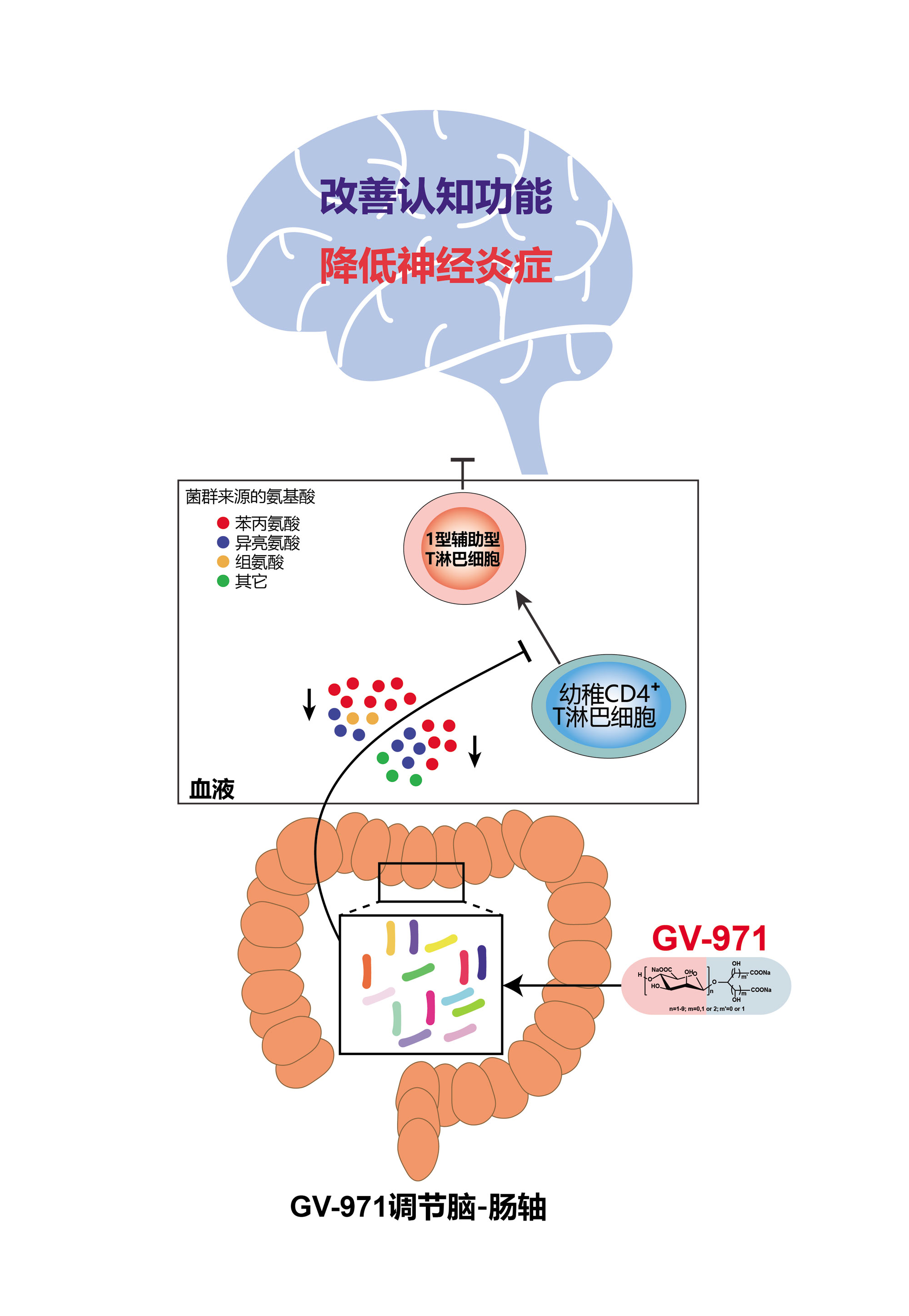 5.九期一®靶向脑肠轴治疗阿尔茨海默病的机制示意图.jpg 5.九期一®靶向脑肠轴治疗阿尔茨海默病的机制示意图.jpg