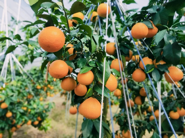 内bf42b3f0ce7f4d_副本.jpg 内bf42b3f0ce7f4d_副本.jpg