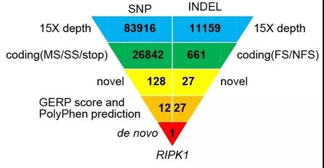 内213190903_副本.jpg 内213190903_副本.jpg