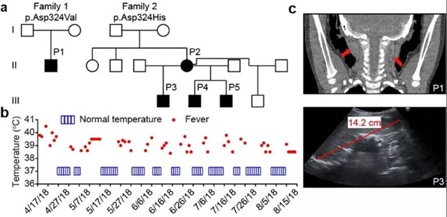 内3190950_副本.jpg 内3190950_副本.jpg