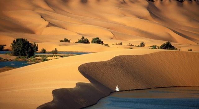 t018aaec8e4408deb0f.jpg t018aaec8e4408deb0f.jpg