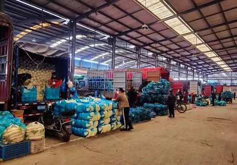 日交易量5000吨左右江桥蔬菜批发市场供应商九成以上已恢复经营