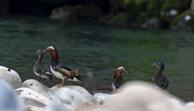 内06495863d8a64_副本.jpg 内06495863d8a64_副本.jpg