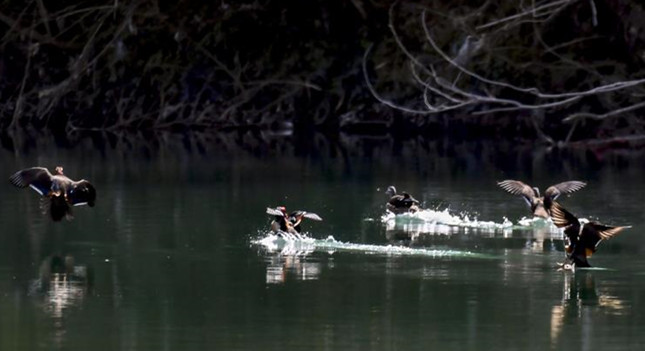 内 e46a030561772f7_副本.jpg