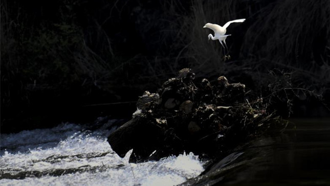 内 26cca28581ff45_副本.jpg