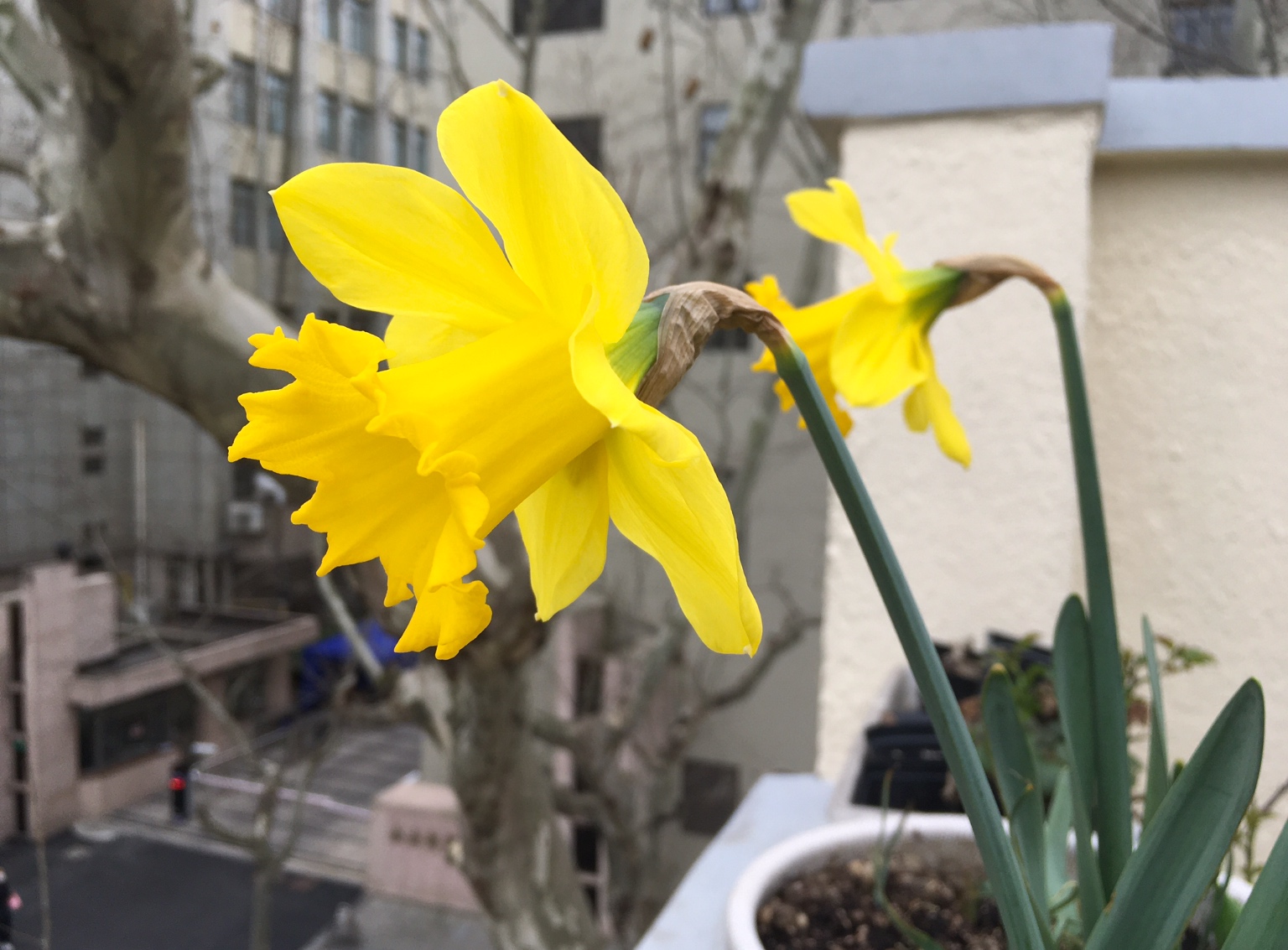 882D5AAA-378F-457F-B48C-EECCD2AB2BB6.jpeg