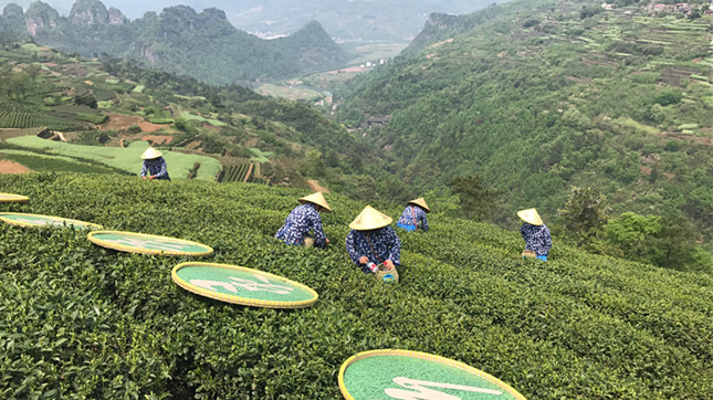 内b417a62f3b79f7b_副本.jpg 内b417a62f3b79f7b_副本.jpg