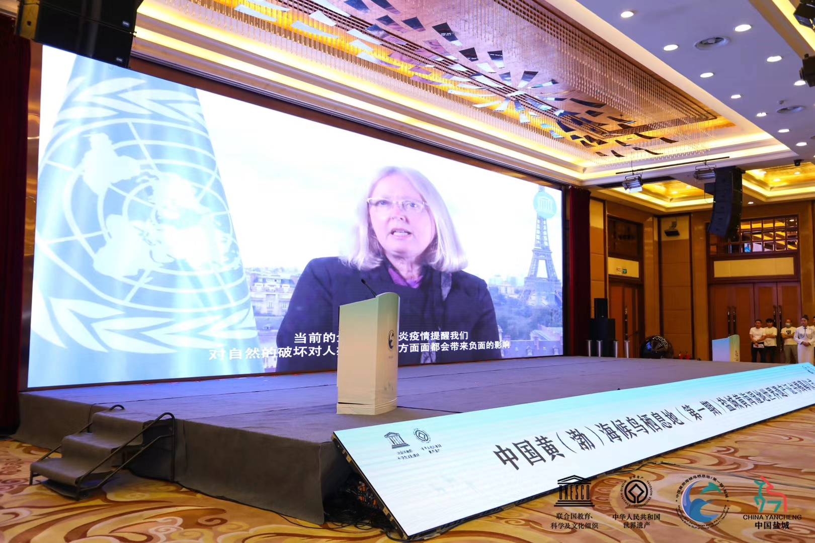 1774167202.jpg 1774167202.jpg