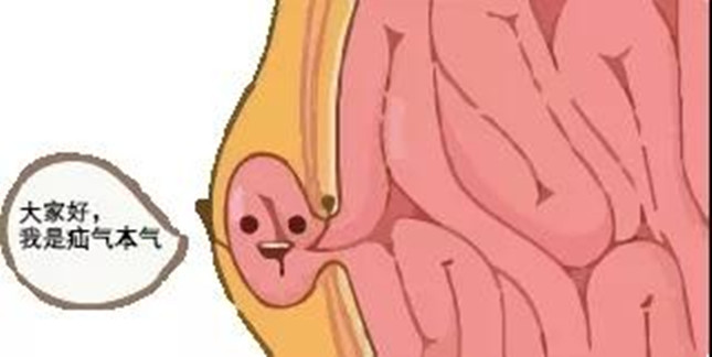 nei 714142146_副本.jpg