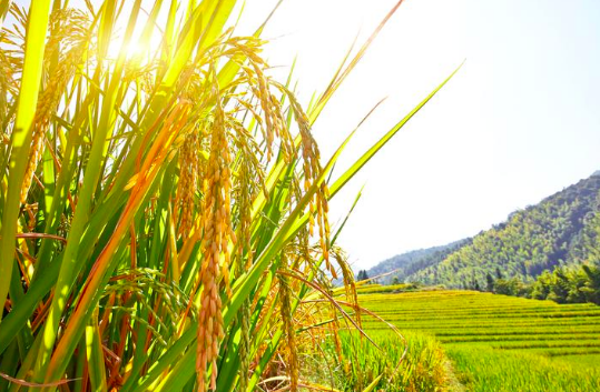 屏幕快照 2020-08-15 下午9.48.05.png