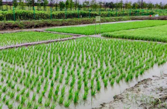 屏幕快照 2020-08-15 下午9.47.49.png