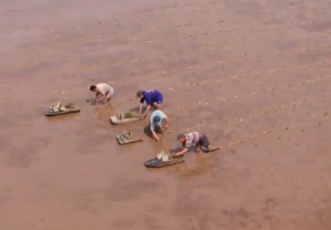 屏幕快照 2020-08-15 下午9.46.23.png