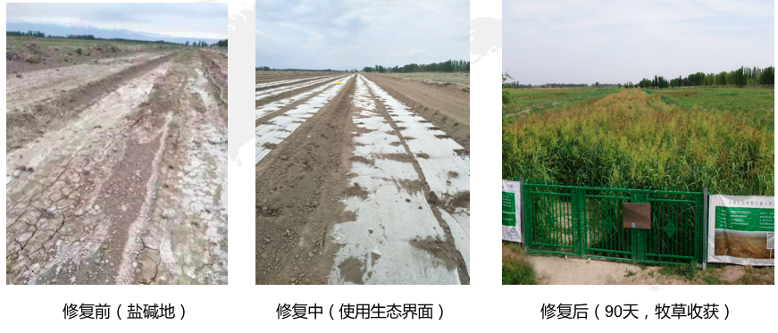 屏幕快照 2020-08-15 下午9.46.46.png