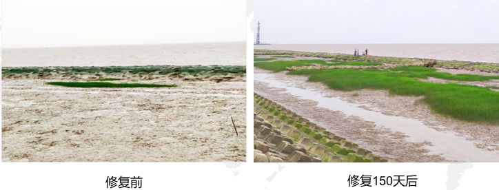 屏幕快照 2020-08-15 下午9.46.58.png