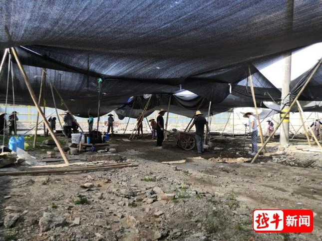 nei 25151542_副本.jpg nei 25151542_副本.jpg