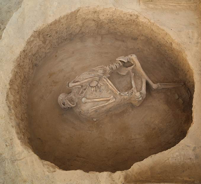 此次寨山考古的最大收获,是石峁文化大型墓地的首次全面揭露!