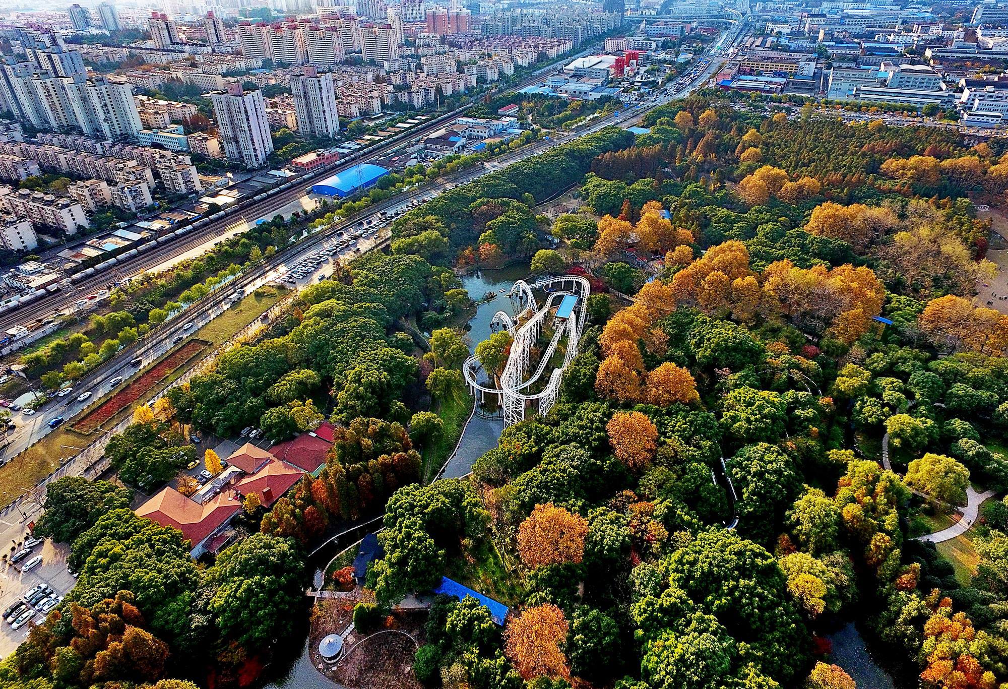 上海世纪公园风光高清图片下载-正版图片500869044-摄图网