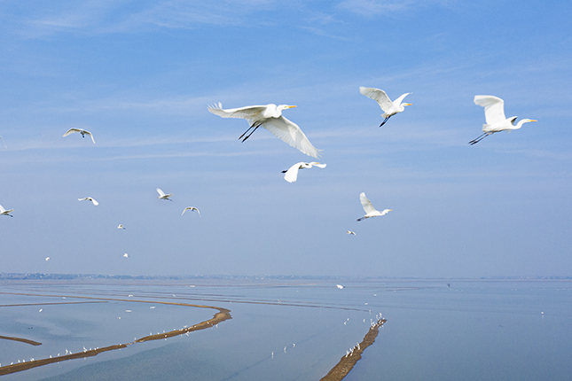 微信图片_20201228153507.jpg 微信图片_20201228153507.jpg