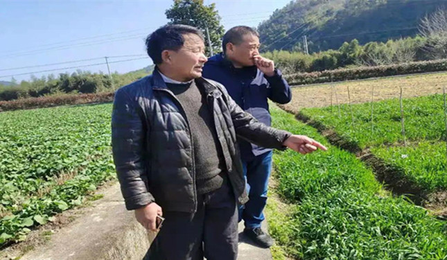 内内0162641_副本_副本.jpg