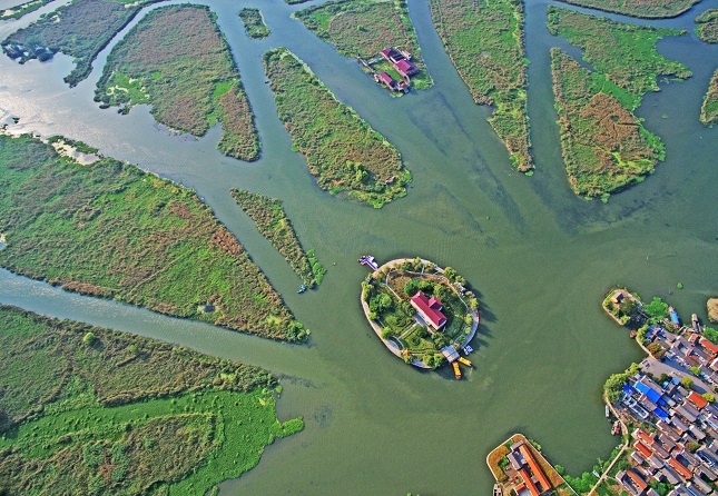 九龙口生态湿地.jpg