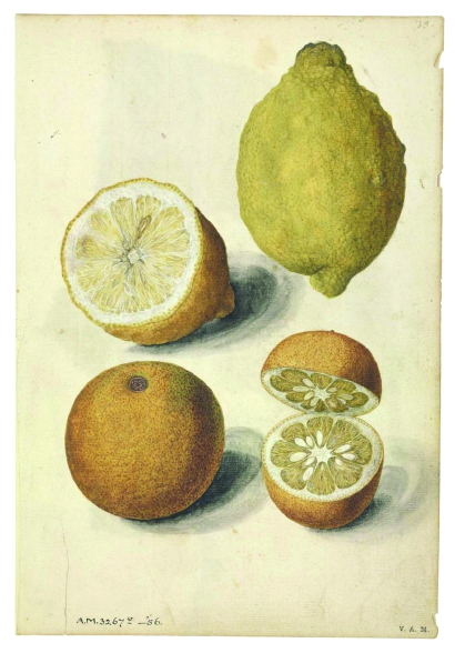 120311_p7.jpg 120311_p7.jpg