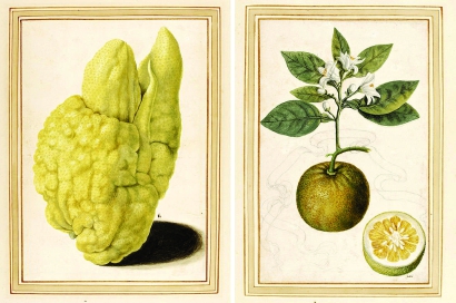 120311_p6.jpg 120311_p6.jpg