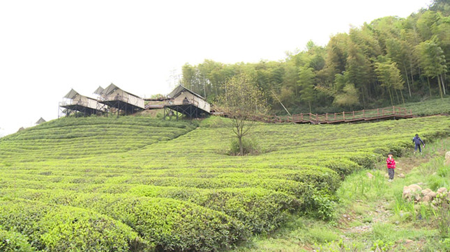 9_副本.jpg 9_副本.jpg