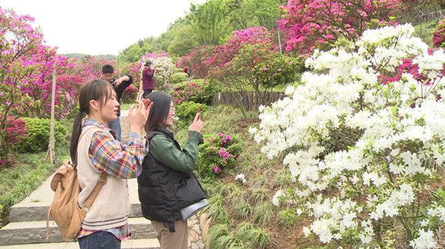 11_副本.jpg 11_副本.jpg