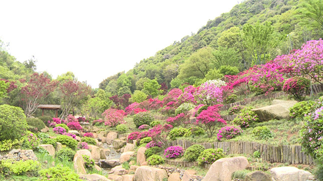 内3_副本.jpg 内3_副本.jpg