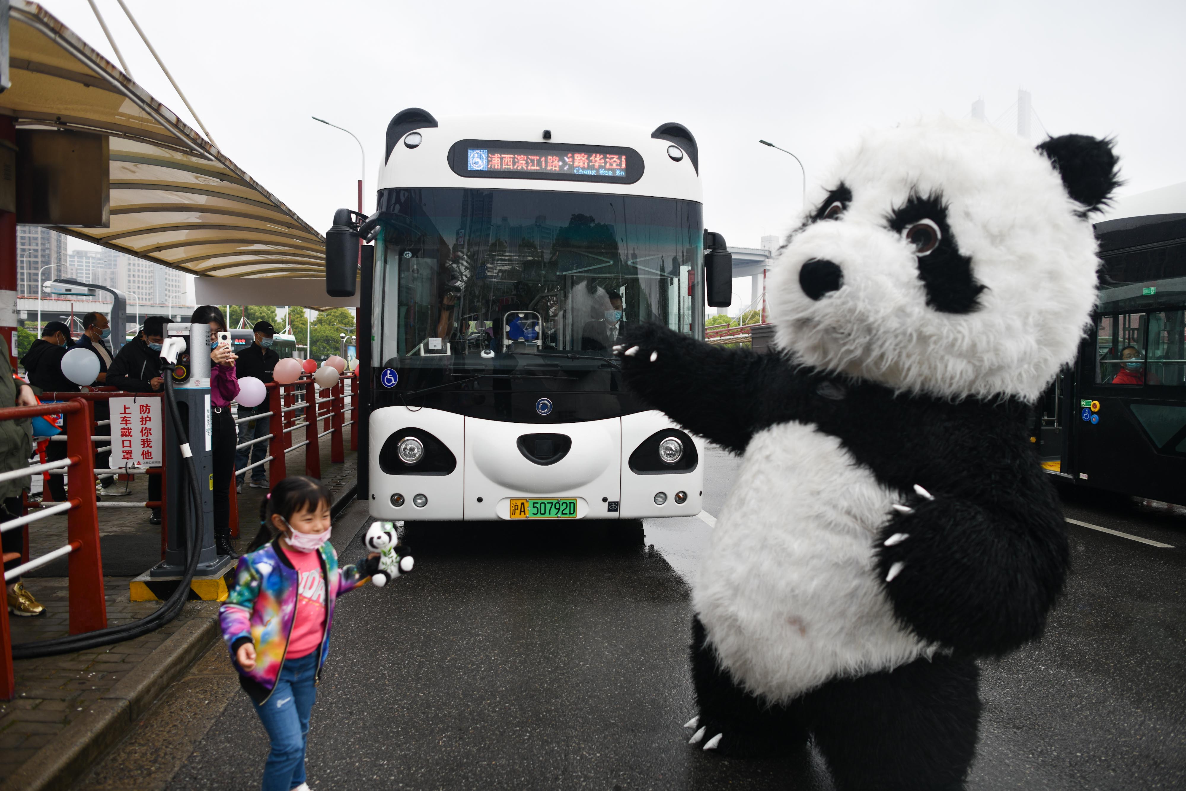 xmb熊猫巴士图片