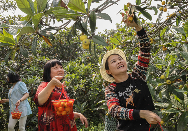 内b2a19ae9c696b_副本.jpg 内b2a19ae9c696b_副本.jpg