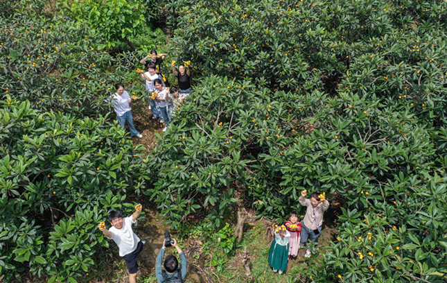 内d33f6982e10c0_副本.jpg 内d33f6982e10c0_副本.jpg