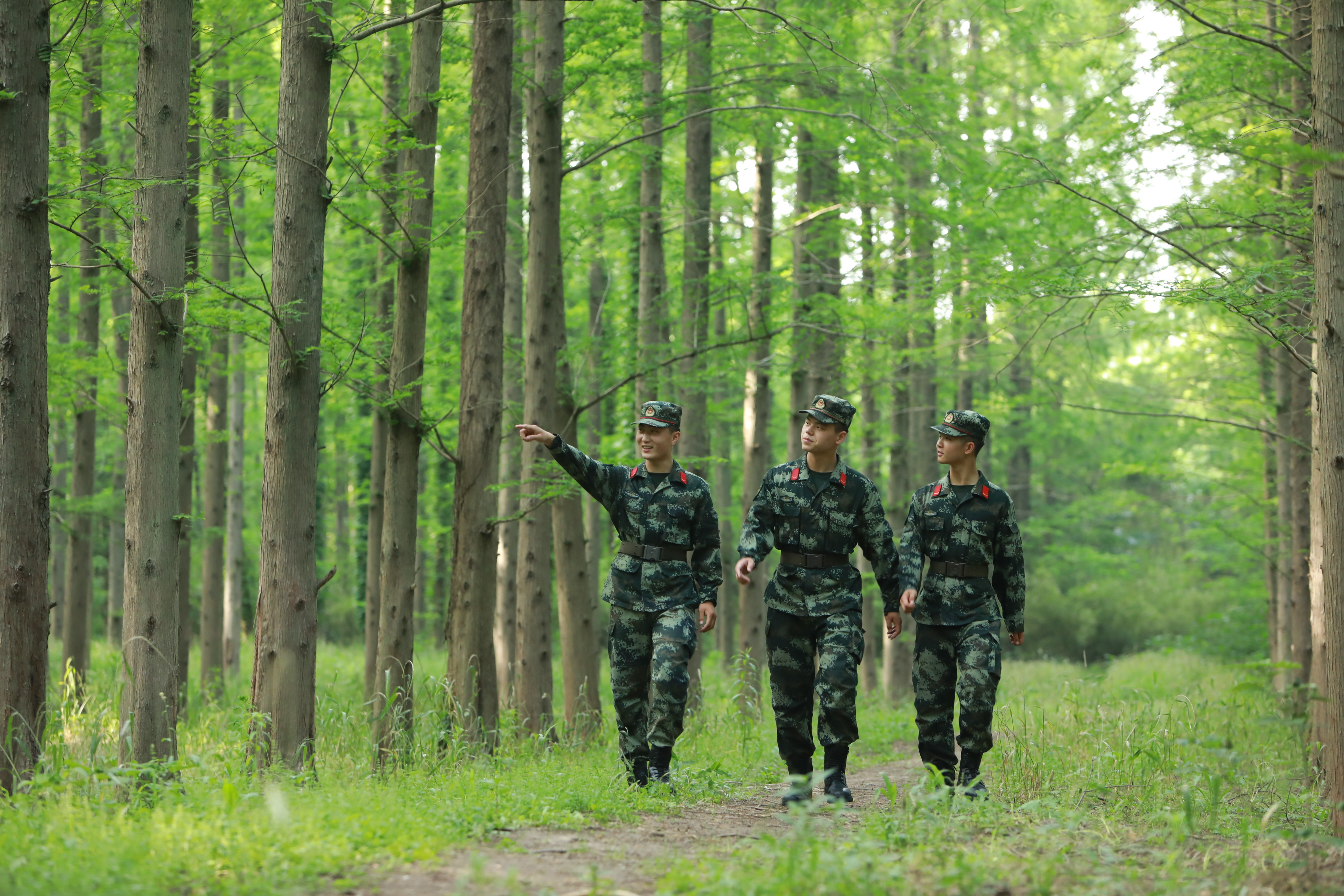 生态岛的绿色守护武警上海总队执勤第二支队执勤一大队官兵助力驻地